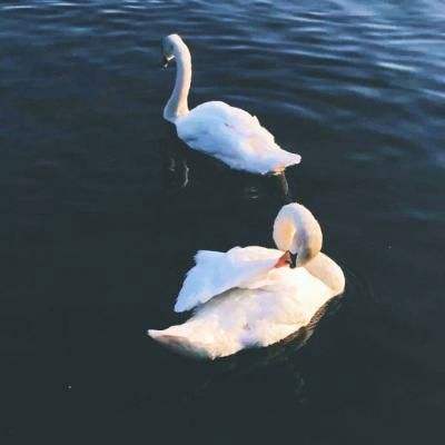 电玩城金鲨银鲨